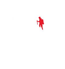 Pinnacle IT logo